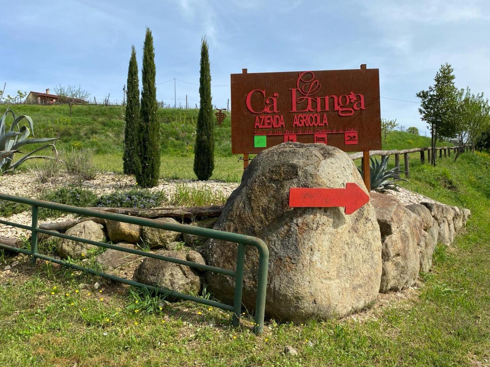 Azienda Agricola Ca' Lunga Cinto Euganeo Exterior photo